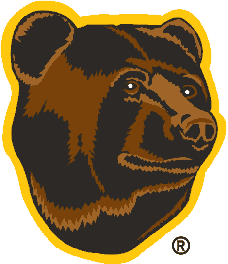 Boston Bruins 1995-2007 Alternate Logo iron on transfers for clothing